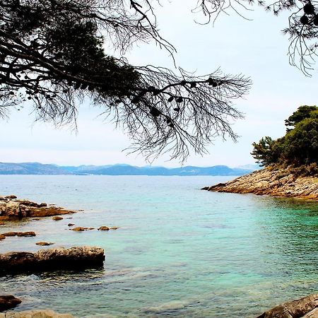 Apartment Marija Mljet 7 Sobra 外观 照片